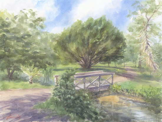 English Yew by the Bridge, Bushy Park - Woodland Watercolour by Surrey Landscape Artist Nadia Poe English Yew by the Bridge, Bushy Park - Woodland Watercolour by Surrey Landscape Artist Nadia Poe